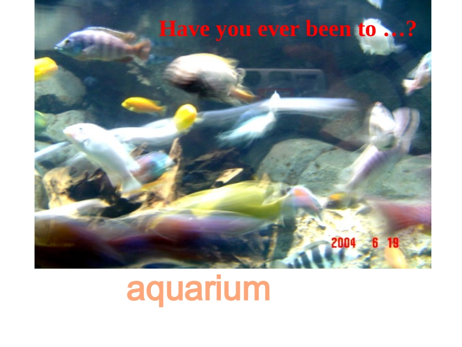 八年级英语下册_Unit9_Section_A课件_新目标_第2页