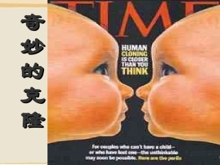 《奇妙的克隆》课件2