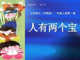 人有两个宝教学课件