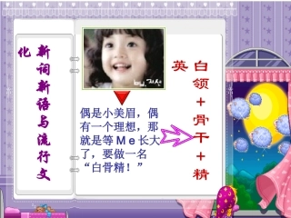 《新词新语与流行文化》