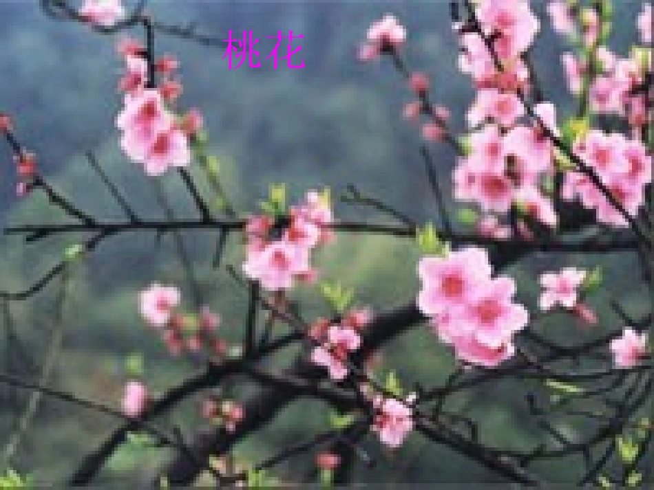 语文园地第二课时_第3页