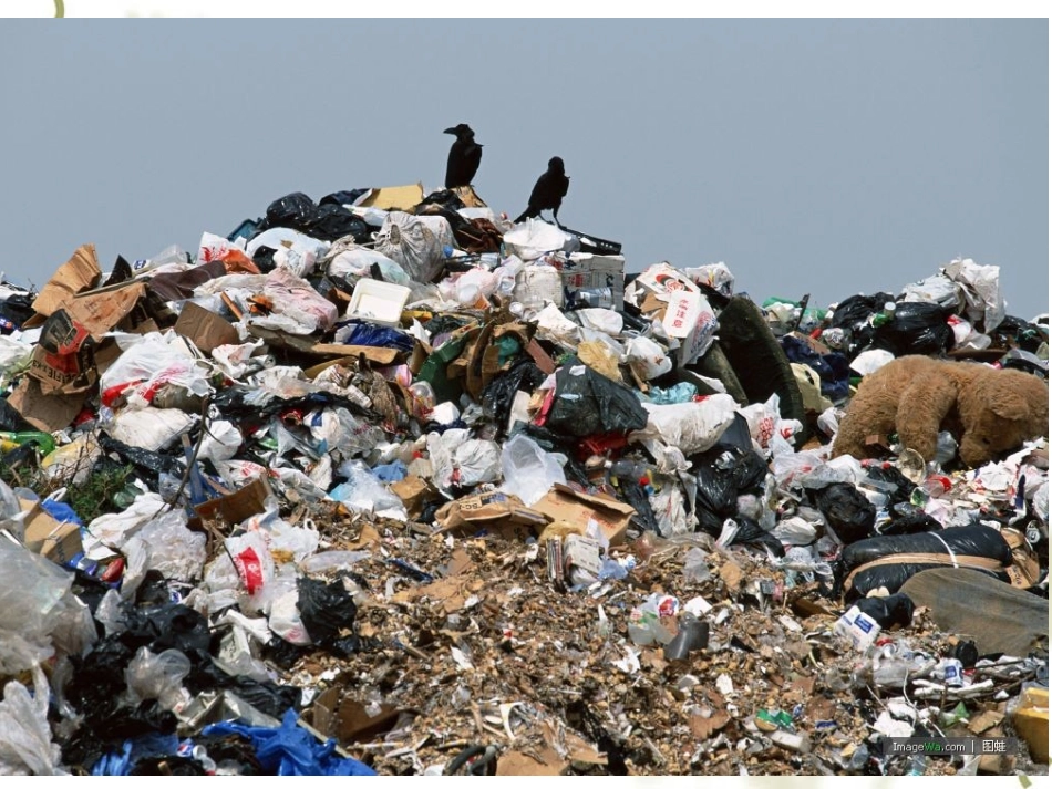 关注身边的垃圾李易真_第3页