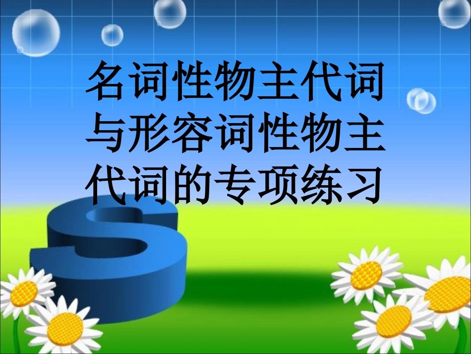 形容词性物主代词和名词性物主代词区分专项练习课件_第1页