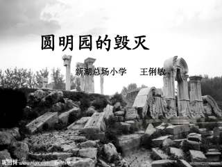 圆明园的毁灭 (5)