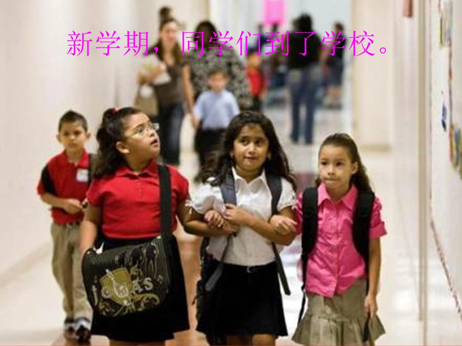 泰迪的故事 (2)_第2页