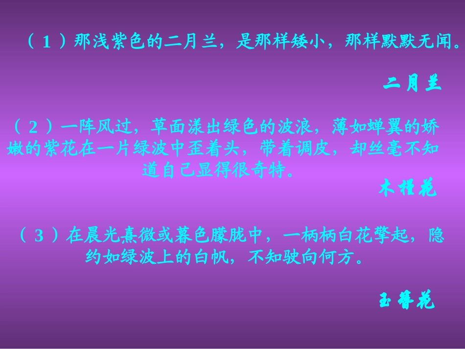 人教新课标版初中七上《紫藤萝瀑布》课件1_第3页