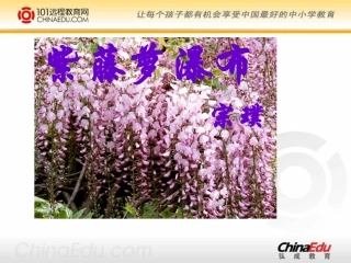 人教新课标版初中七上《紫藤萝瀑布》课件1