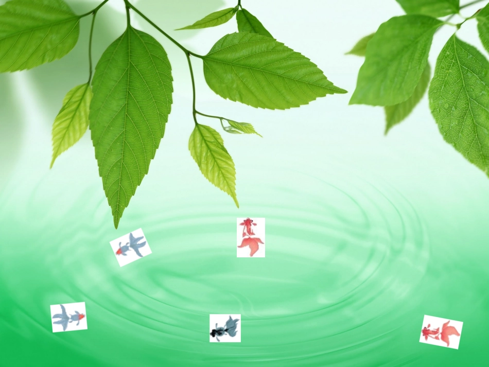 如何适应高中生活——班会_第1页