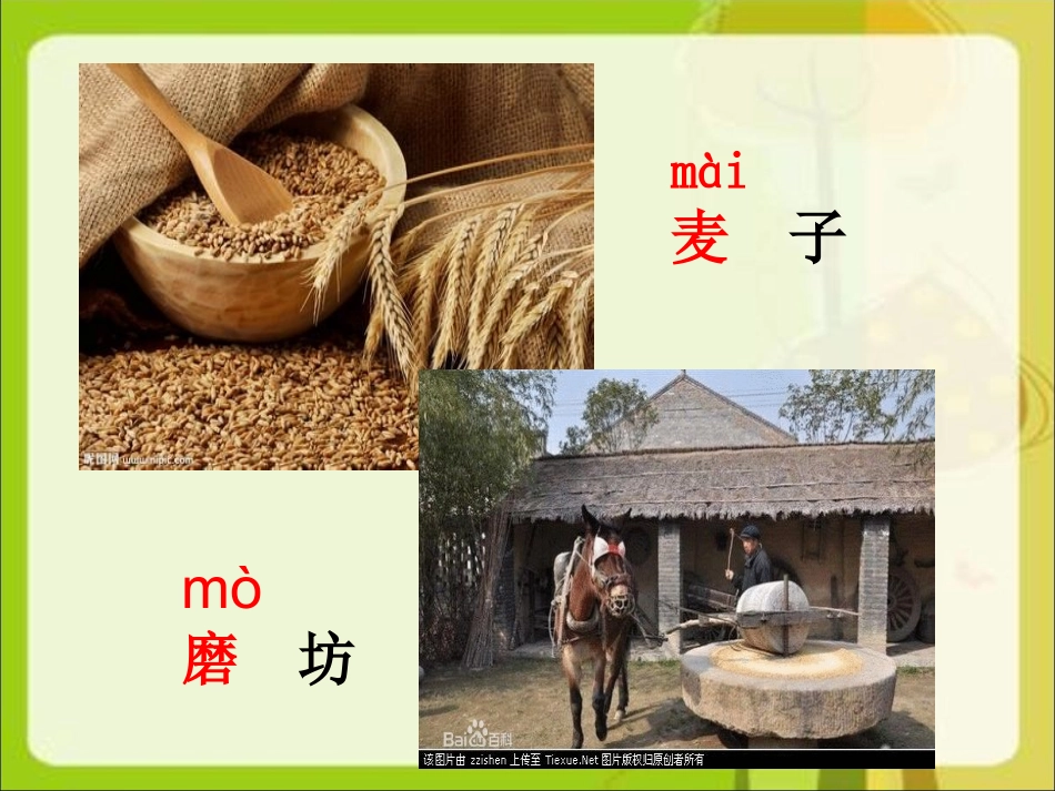 小马过河识字教学课件_第3页