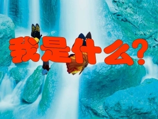 我是什么生字教学幻灯片