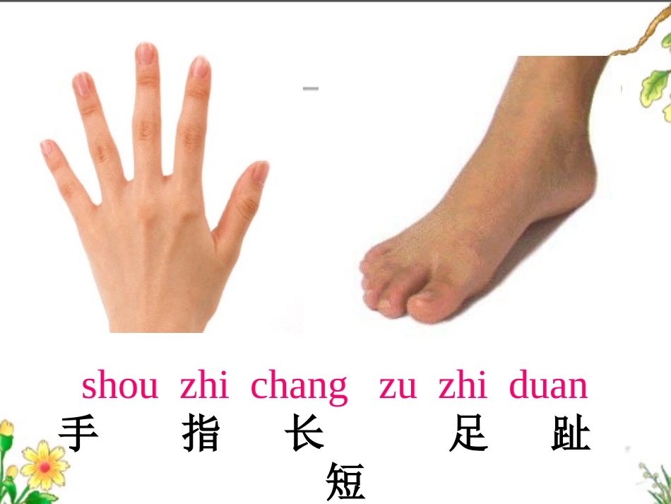 一年级比一比方婷_第3页
