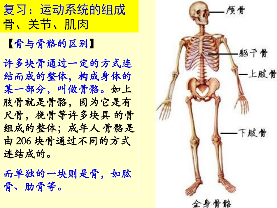 新人教版第二节先天性行为和学习行为_第1页