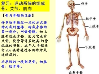 新人教版第二节先天性行为和学习行为