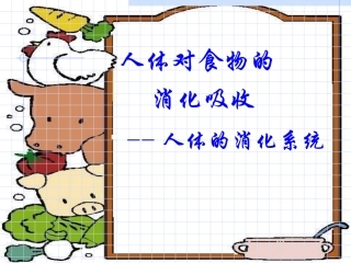 人体对食物的消化与吸收