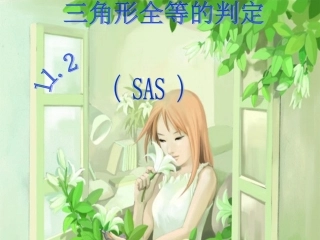 三角形全等SAS