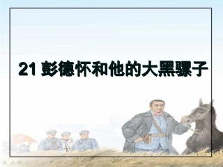 彭德怀和他的大黑骡子_5月19日
