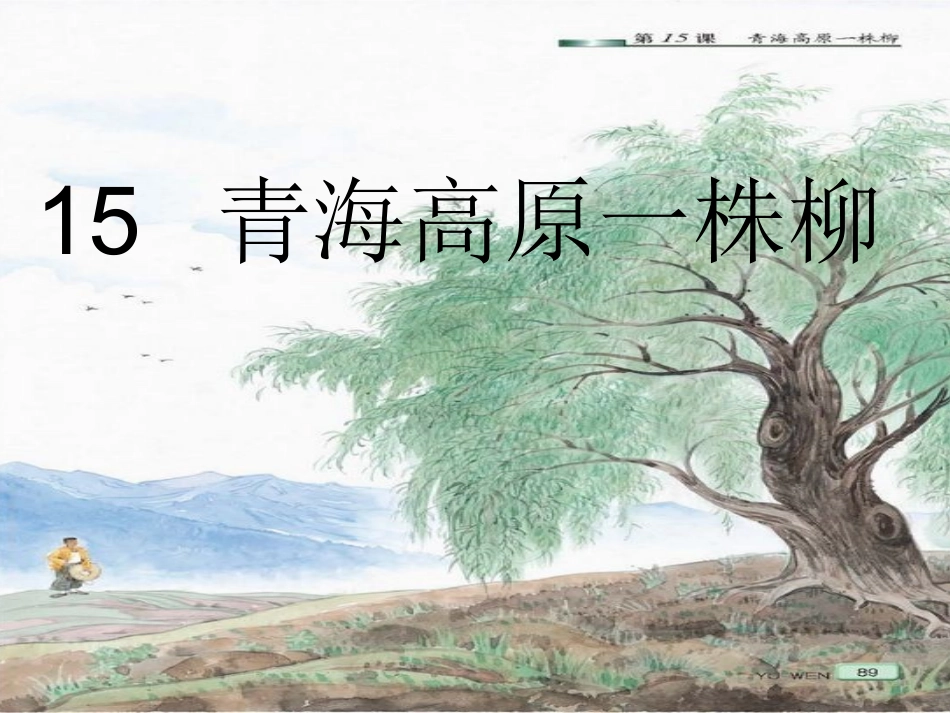 青海高原一株柳2_第1页