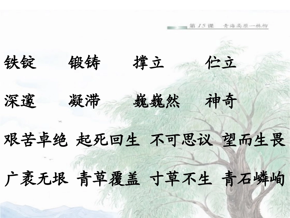 青海高原一株柳2_第2页