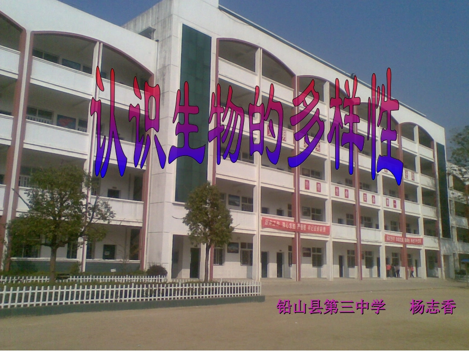《认识生物的多样性》_第1页
