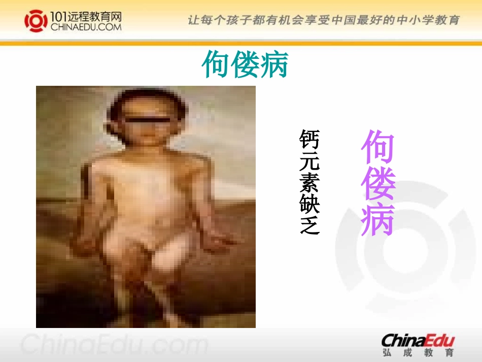 人教新课标版初中九下122化学元素与人体健康课件_第3页