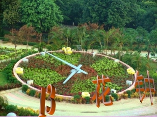 三年级语文上册_花钟1课件_人教新课标版