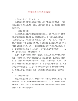 大学新生班主任工作计划范文