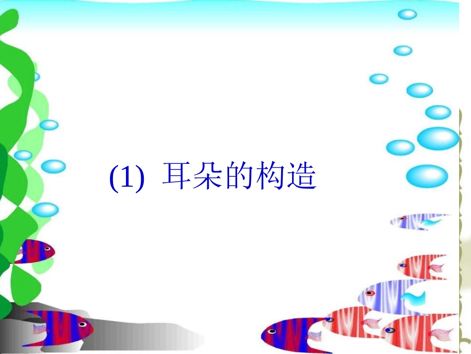 小学科学课件四年级上册《我们是怎样听到声音的》--耳朵_第2页
