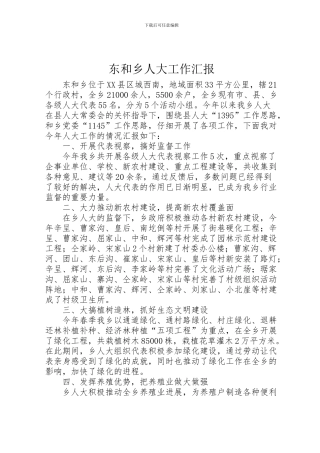 2024年东和乡人大工作汇报