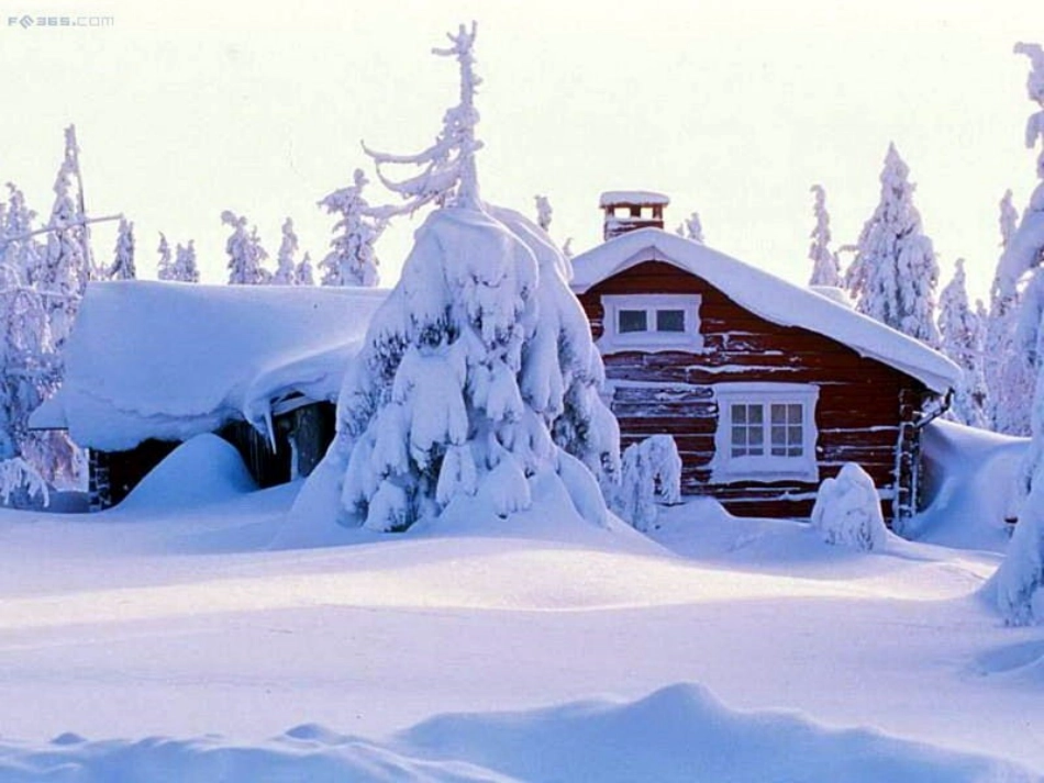 雪地里的小画家课件 (2)_第3页