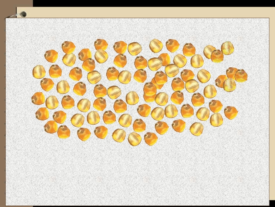 五年级下册蛋白质含量课件_第3页