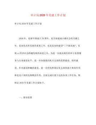 审计局年党建工作计划2)