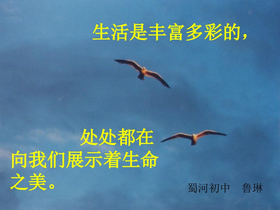《海燕》课件鲁琳_第1页