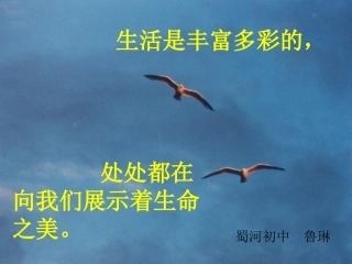 《海燕》课件鲁琳