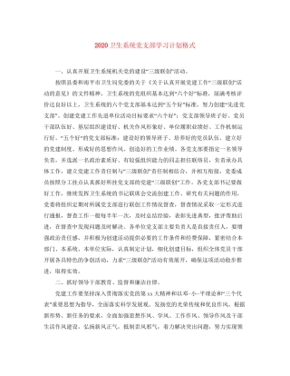 卫生系统党支部学习计划格式