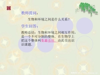 生物与环境组成生态系统