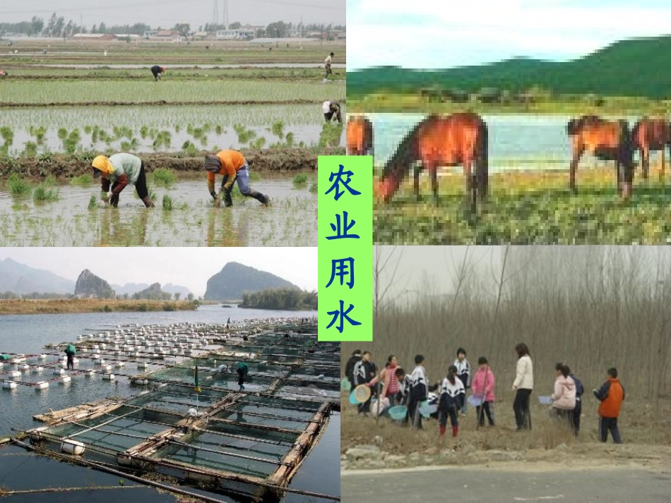 新人教版八年级地理上册第三章第三节《水资源》_第2页
