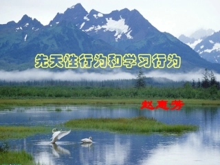 先天性行为和学习行为 (4)