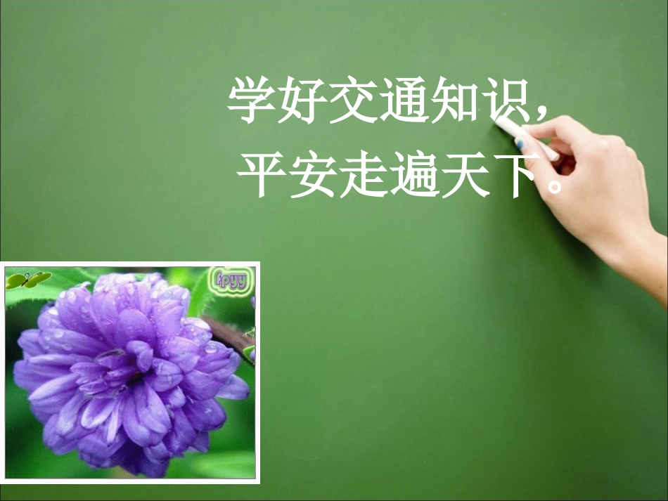 平安走天下_课件_教科版品德与社会四年级下册_第3页