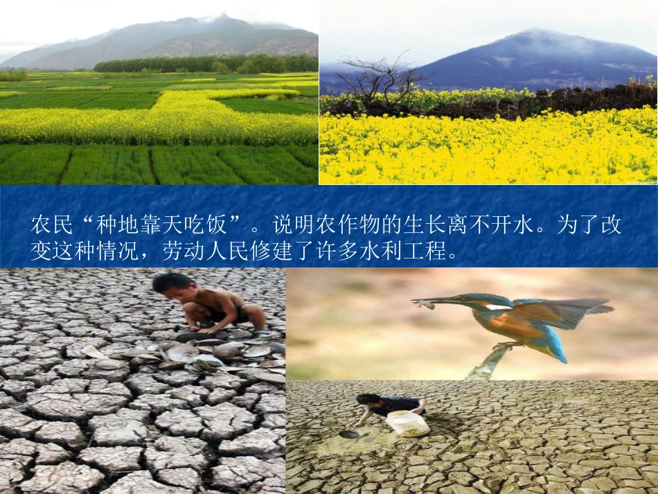 思品-劳动者的创造_第2页