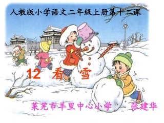 看雪 (4)