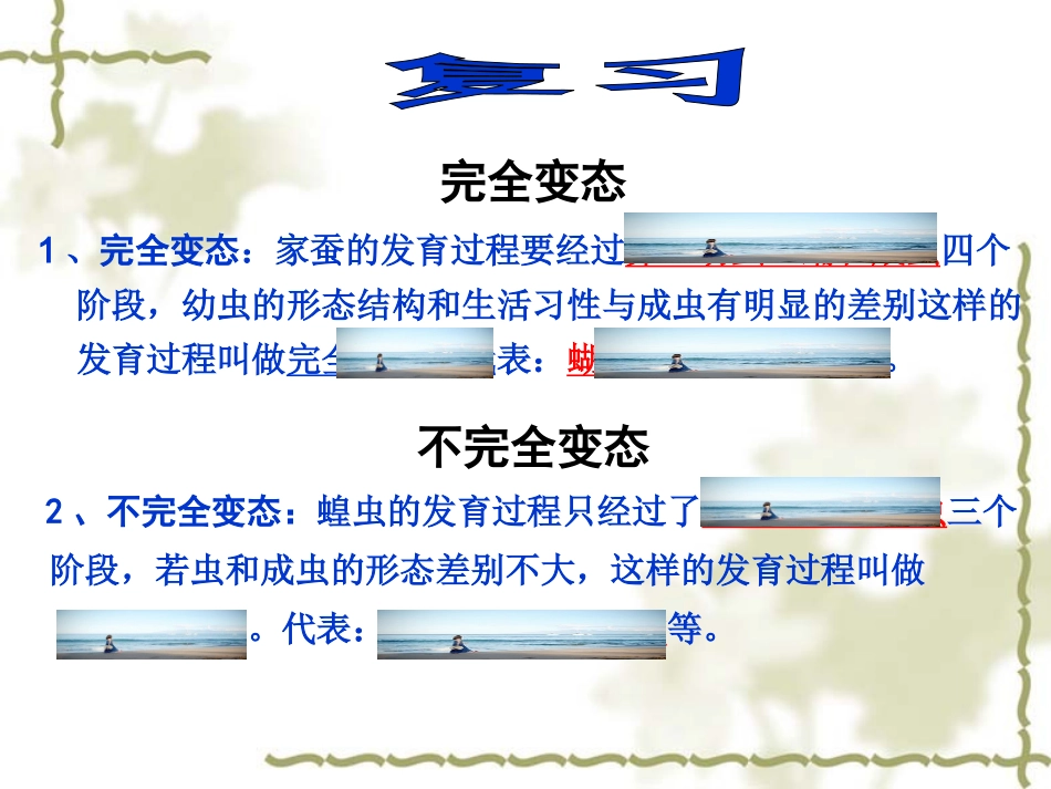 两栖动物的生殖和发育 (3)_第1页