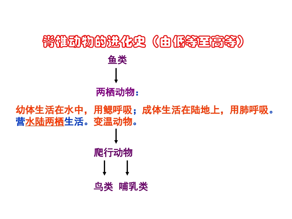两栖动物的生殖和发育 (3)_第3页