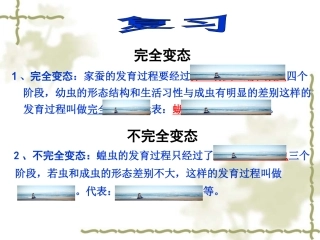 两栖动物的生殖和发育 (3)