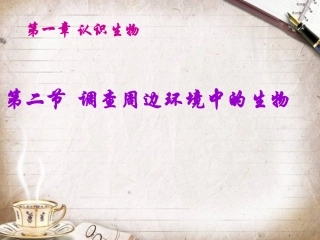 调查周围环境中的生物