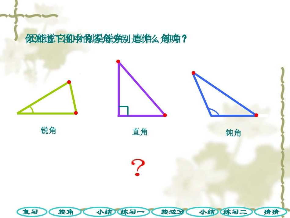 三角形的分类 (6)_第2页