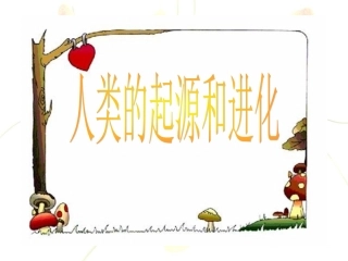 人类的起源和进化hd