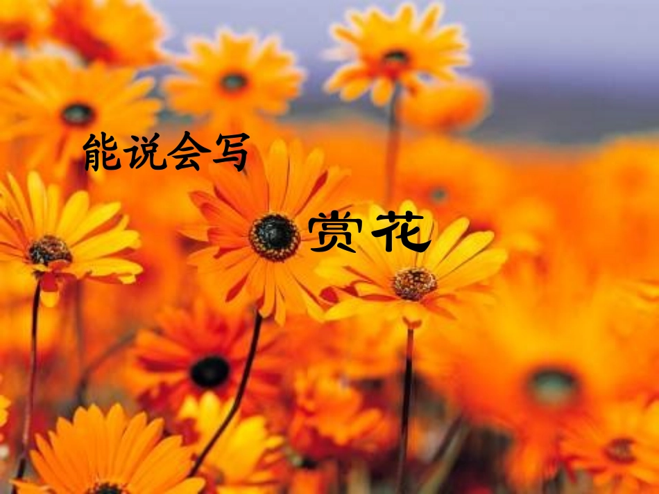 《赏花》教学课件_第1页