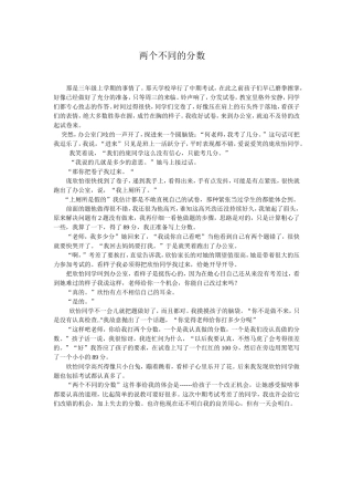 两个不同的分数