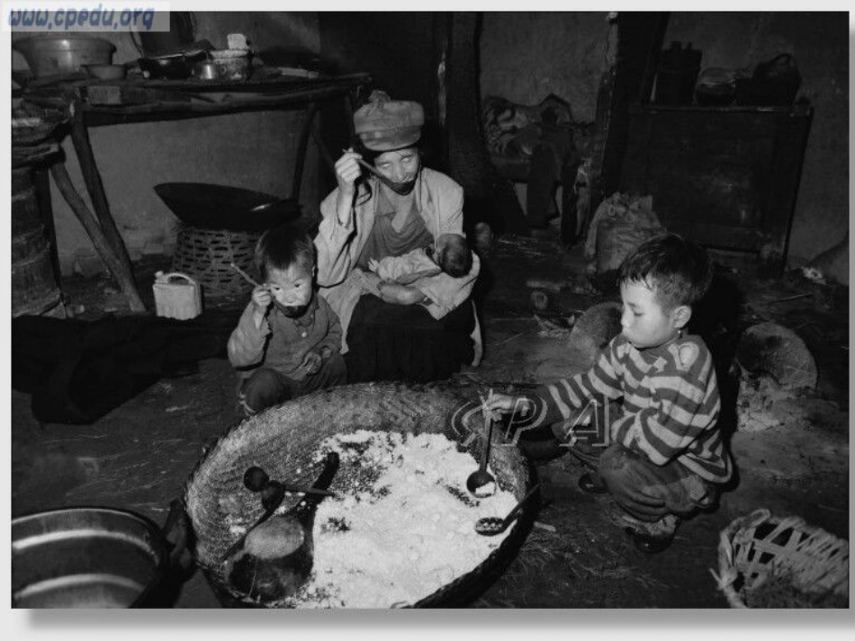 思想品德：第七课《关注弱势群体》课件(教科版九年级)(2)_第3页