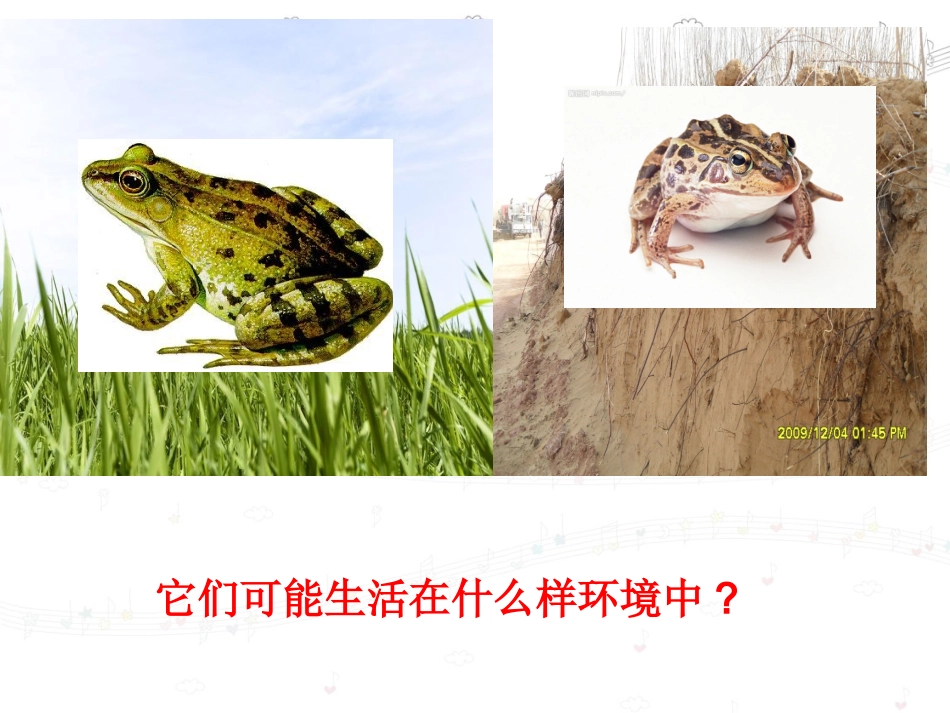 谁选择了它们__(恢复)_第2页